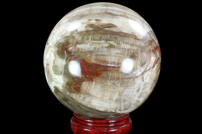 Colorful Petrified Wood Sphere - Madagascar #92999